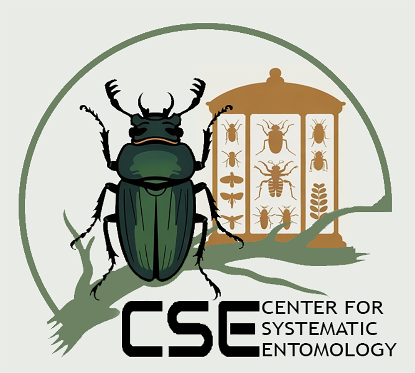 CSE Logo